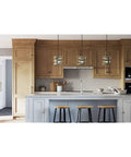 Coastal Farmhouse 1 Light Pendant in Graphite Finish with Open Cage Frame of Three Circular Bands above kitchen island