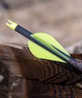 Yellow vane on an arrow, background of feathers, different item than 2-Inch Shield Vanes In Pink, Pack Of 36 For Target And Field Archery