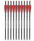 12-pack of 20 Inch Carbon Crossbow Bolts For Hunting, Beginner And Youth Friendly Arrows With 4 Inch Vanes, 100 Grain Tips