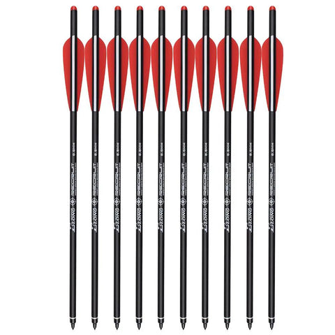 12-pack of 20 Inch Carbon Crossbow Bolts For Hunting, Beginner And Youth Friendly Arrows With 4 Inch Vanes, 100 Grain Tips