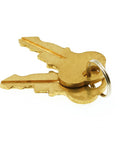 Close-up of two brass keys on a metal keyring, isolated on white background.