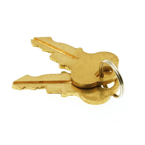 Close-up of two brass keys on a metal keyring, isolated on white background.