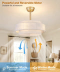XINGSIYUELYX Ceiling Fan with Light showing gold finish, dual mode display, suitable for year-round air circulation.