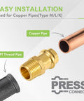 Front view of brass ProPress 1/2 in x 1/2 in MNPT male adapter with copper pipe