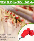 Screw Style Automatic Chicken Waterer Nipples 30 Pack No Fuss Setup Drip Free Poultry Drinkers for quails and hens with PVC pipes.
