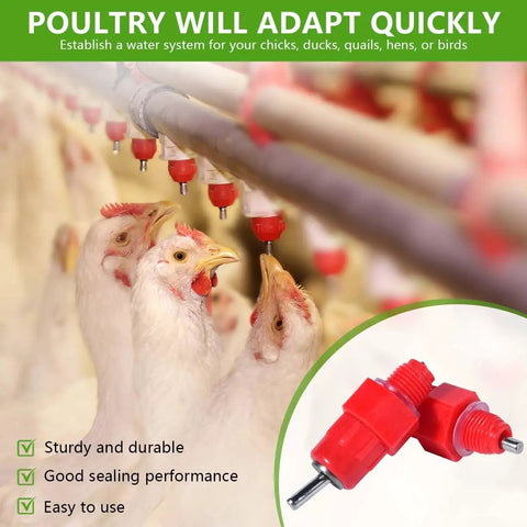 Screw Style Automatic Chicken Waterer Nipples 30 Pack No Fuss Setup Drip Free Poultry Drinkers for quails and hens with PVC pipes.