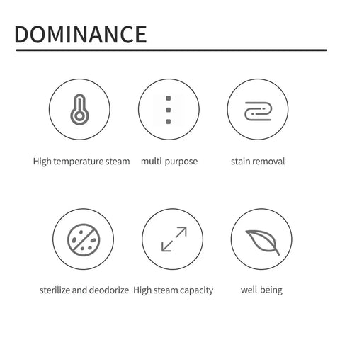 Dominance features of the Powerful 1000W Handheld Steam Cleaner highlighted with icons for high temperature steam, multipurpose use, and stain removal.
