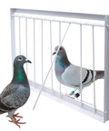 Heavy Duty T Trap Door For Pigeon Cage Iron Wire Birdcage Accessory with Self Lock Design for Racing Pigeons, two pigeons near door