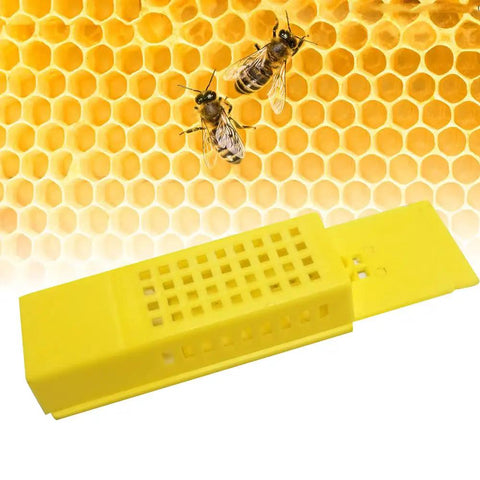 Yellow Plastic Queen Bee Cages 12 Pack Beekeeping Go To Transporting Catcher Kit with honeycomb background