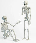 Two Life Size Skeleton Five Point Four Foot Poseable Full Body Halloween Prop With Movable Joints weatherproof plastic