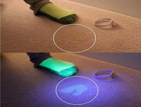Comparison of carpet with and without Ultraviolet Blacklight Flashlight With 51 LEDs, 395 Nanometer UV Light detecting a stain