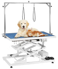 Huge Heavy Duty Electric Pet Grooming Lift Table With Double Scissor Blue Top with a golden retriever and orange cat on top.