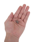 Hand holding small screws from Self Tapping Screws Assortment Kit 800pcs M2 Round Head Carbon Steel With Multi Size Selection And Organized Storage