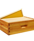 10 Frame Langstroth Medium Super Beehive Box Kit With Beeswax Dip Includes 10 Frames And Wax Foundations Yellow Unassembled For Easy Beekeeping Setup Today