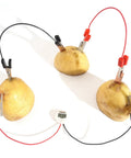 Hands On Fun Kid Friendly Energy Science Kit With Potato And Lemon Battery Experiments Digital Clock And Light Bulb Included