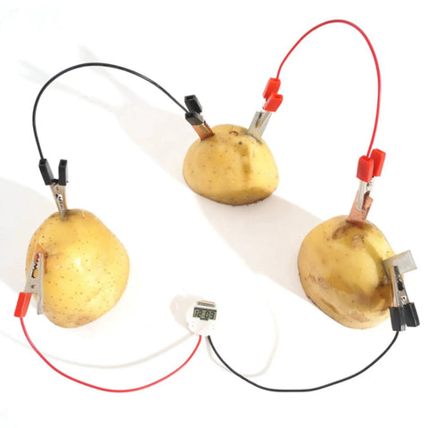 Hands On Fun Kid Friendly Energy Science Kit With Potato And Lemon Battery Experiments Digital Clock And Light Bulb Included