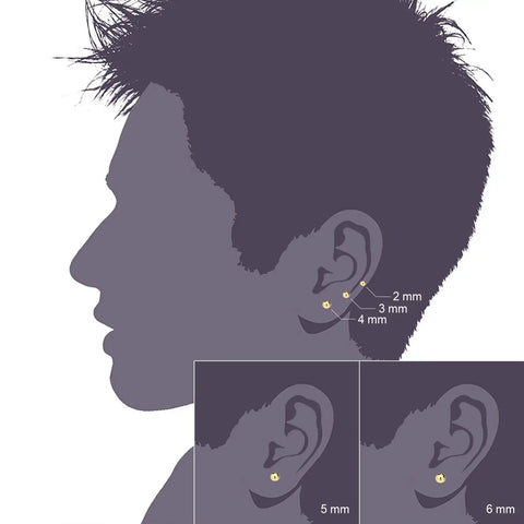 316L Surgical Stainless Steel Ball Earrings For Women Round Ball Stud Ear Jewelry Hypoallergenic Nickel Free Comfortable Durable Everyday Wear Long Lasting Shine, 2-6 mm gold studs on ear diagram