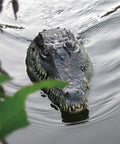 Flytec V005 RC Boat With 2.4G Radio Control Dope Electric Racing Boat For Poolside Fun Realistic Crocodile Head Design