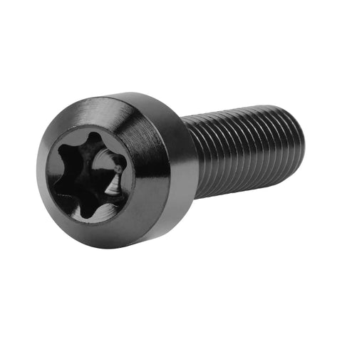 Titanium M6x25mm Torx Square Head Bolt Pack Of 5 In Black 6AL4V Grade 5 Titanium For Bikes Motorcycles And Cars 1mm Pitch 5mm Hex T30