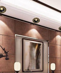 Adjustable Led Recessed Ceiling Light With Rock Solid Forged Brass Trim And Hella Bright 6000K Daylight Beam for home interior above wall artwork.