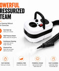 Pressurized Handheld Steam Cleaner Knocking Out Grease And Grime Like A Boss, featuring controls and a steam nozzle.