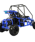 125cc Fully Automatic Gas Go Kart With Reverse For Two Riders Youth Remote Engine Shut Off Governed Speed Blue Big 16x8 Tires Raptor Style Go Kart Kid Friendly Performance in blue
