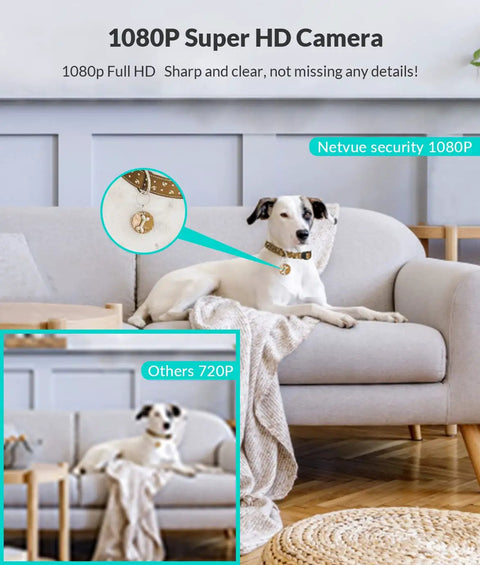 Dog on a sofa captured by 1080P Indoor Pet Cam with 2 Way Audio Night Vision and AI Human Detection 2.4GHz WiFi Home Security Cam.