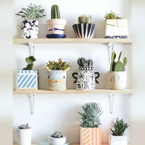20 Pack 10 Inch White Shelf Brackets Heavy Duty Steel L Shaped Brackets For Shelves with potted plants on wood boards
