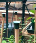 Premium Garden Cane Caps For Bamboo Sticks That Totally Block Sharp Ends And Keep Hands Safe Plus Eyes Protected From Accidents When Working In The Yard, PVC, on bamboo stakes in a garden