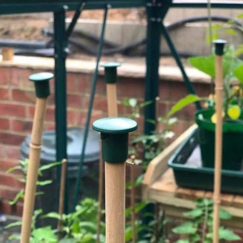 Premium Garden Cane Caps For Bamboo Sticks That Totally Block Sharp Ends And Keep Hands Safe Plus Eyes Protected From Accidents When Working In The Yard, PVC, on bamboo stakes in a garden