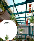 Heavy Duty Carbon Steel Ceiling Hooks Four Pack Spring Toggle Drywall Anchors For Hollow Walls Rock Solid Swag Plant Hangers No Sweat Setup Today with hanging plants in a sunlit room.