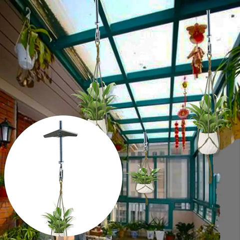 Heavy Duty Carbon Steel Ceiling Hooks Four Pack Spring Toggle Drywall Anchors For Hollow Walls Rock Solid Swag Plant Hangers No Sweat Setup Today with hanging plants in a sunlit room.
