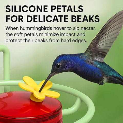 Close-up of window hummingbird feeder with silicone petals and strong suction cups, metal base, hummingbird feeding.