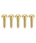 Five brass wood screws M3 x 12mm with slotted round heads, self tapping fasteners for durable corrosion resistant woodworking.