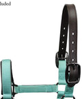 Double Stitched Leather Breakaway Halter Crown Replacement 21 Or 25 Inch 1 Inch Wide shown on nylon halter