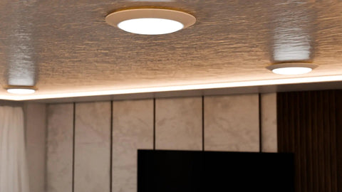 Ceiling with Ultra Bright 7.5 Inch Dimmable LED Disk Light Flush Mount for Ceilings, Energy Star Certified, 16.5W 120V 5000K Daylight