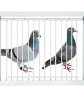 11.8 Inch Pigeon Door Entrance For Racing Pigeons Built Tough T Bar Iron Wire Cage Door with two pigeons inside