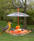 All In One Oriole Buffet Bird Feeder With Bee Guards And Removable Jelly Dishes Easy Cleaning Durable Orange Finish