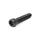 Fifty Pack Beefed Up Socket Head Cap Bolts 3/8X2 Inch Alloy Steel bouldering climbing hold mounting bolt isolated on white.
