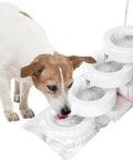 Dog drinking from Water Dispenser Replacement Filters Pack For Automatic Pet Fountains With Triple Filtration System; white filters shown