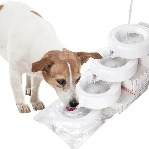Dog drinking from Water Dispenser Replacement Filters Pack For Automatic Pet Fountains With Triple Filtration System; white filters shown