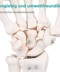 Close-up of Life Size Skeleton Hand Model With Fully Articulated Fingers for Medical Training, showing flexible joints.