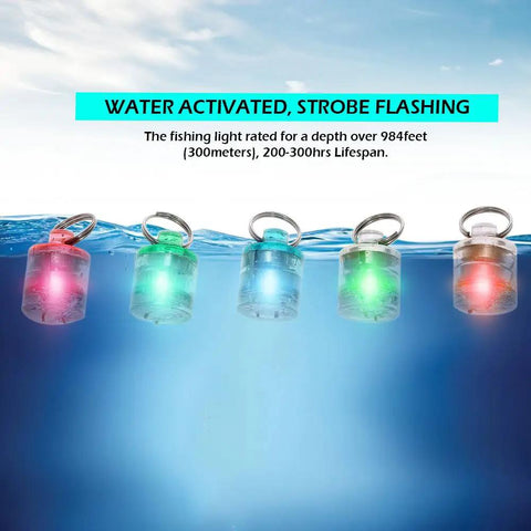 5 Pack LED Fishing Lights For Deep Water Drops, Underwater Round Squid Strobe Bait Lure floating in water