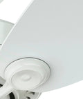 Close-up of blade on 34 Inch Watson Ceiling Fan With LED Light Kit In Snow White Finish Pull Chain Multi Speed Whisper Wind Motor Reversible
