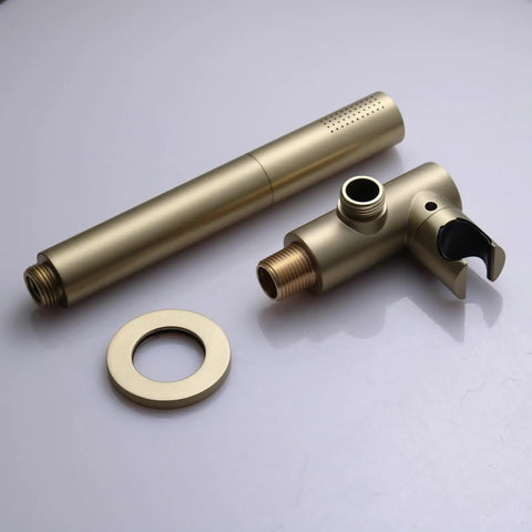 2 In 1 Handheld Shower Head Set With Rain And Jet Modes, High Pressure, High Flow Hand Shower Wand Brass Components