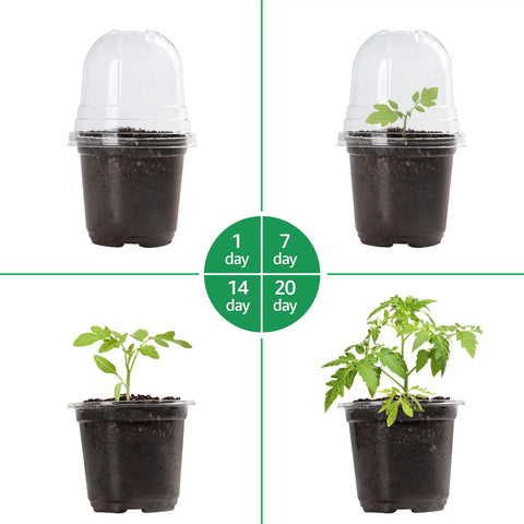 Clear 4 Inch Nursery Pots With Humidity Dome 30 Pack Reinforced Plastic Seedling Planters With Drainage Holes For Seed Starting Root Cuttings And Veggie Propagation