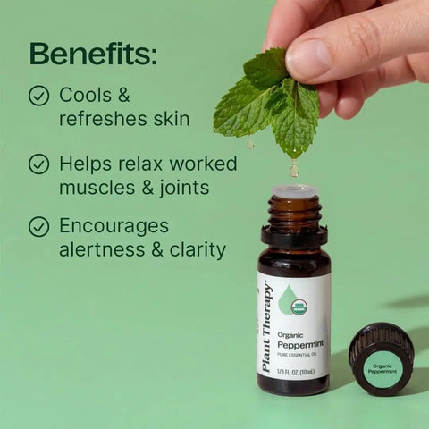 Cool Mint Peppermint Essential Oil 10 mL, 100 Percent Pure Organic, USDA Certified Organic Aromatherapy Oil with mint leaves