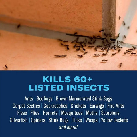 All Purpose Bug And Germ Killer Insect Spray 1 Gallon For Indoor Use Keeps Bugs Gone Fast image showing ants and insect list.