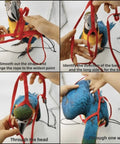 Adjustable Parrot Harness With Leash For Outdoor Flight Training 78.7 Inch Rope Kit being fitted on a parrot