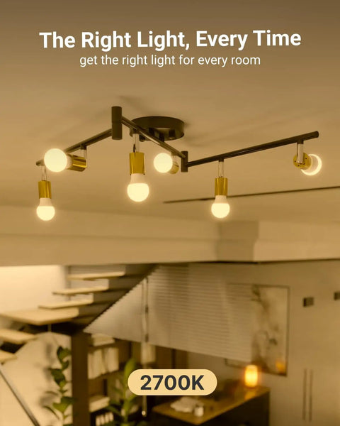 Ceiling light fixture with 16 Pack GU24 LED A19 Bulbs 800 Lumens 9W 60W Equivalent Dimmable Twist Lock Base Soft White 2700K